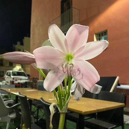 Restaurant & Rooms Cabrit ซานต์มาเตว ภายนอก รูปภาพ